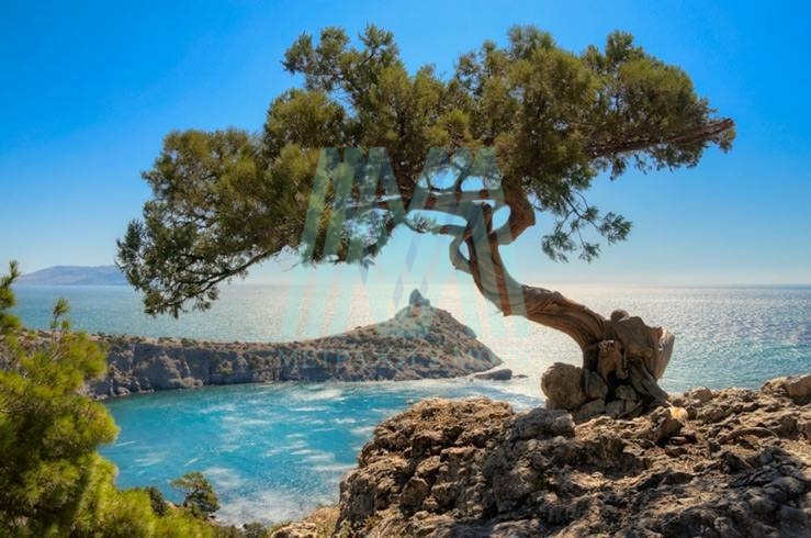 Крым — лидер среди регионов России